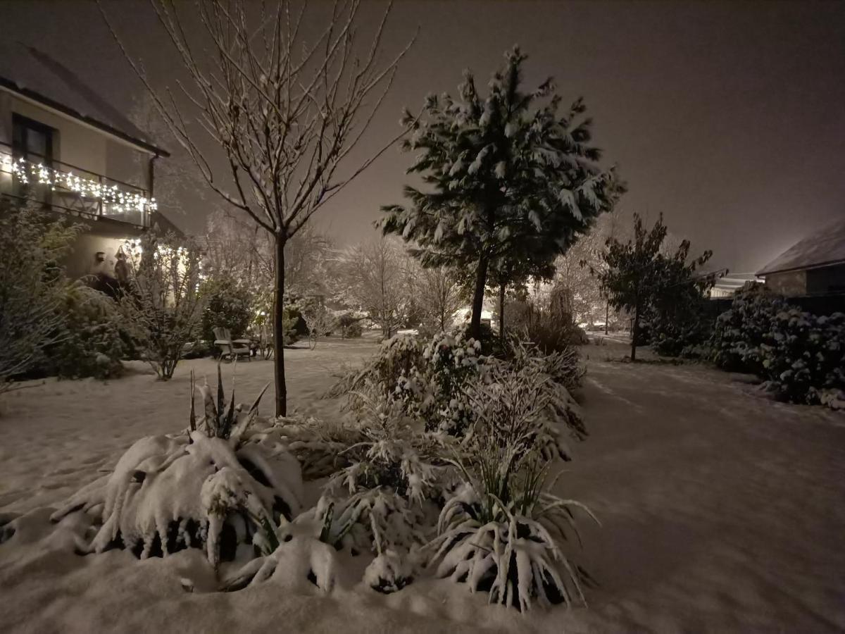 Le Balcon Des Cimes B&B Adast Exterior photo