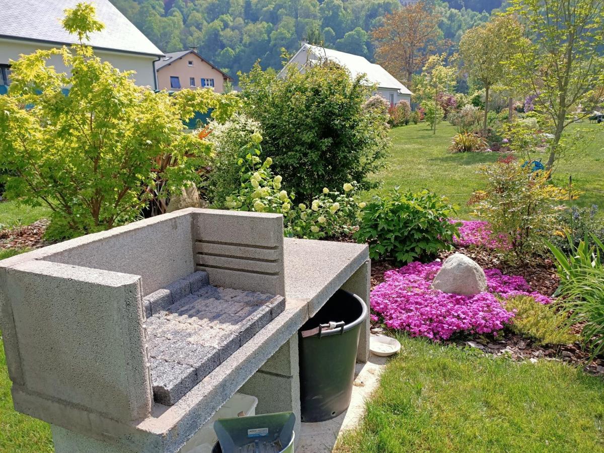 Le Balcon Des Cimes B&B Adast Exterior photo