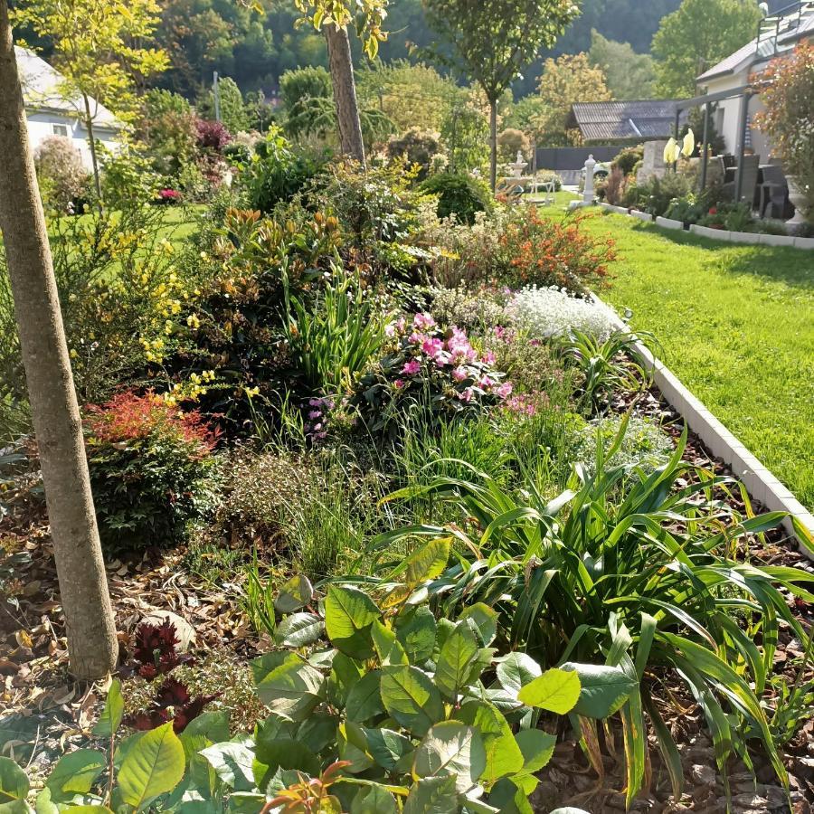 Le Balcon Des Cimes B&B Adast Exterior photo